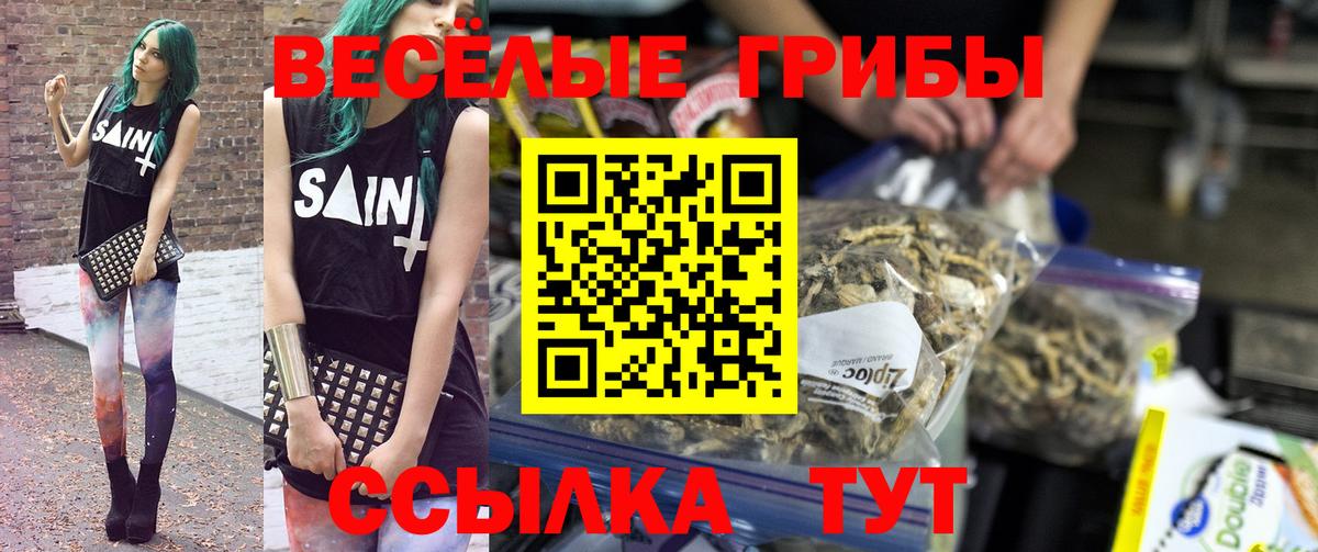 Галлюциногенные грибы MAGIC MUSHROOMS Азнакаево