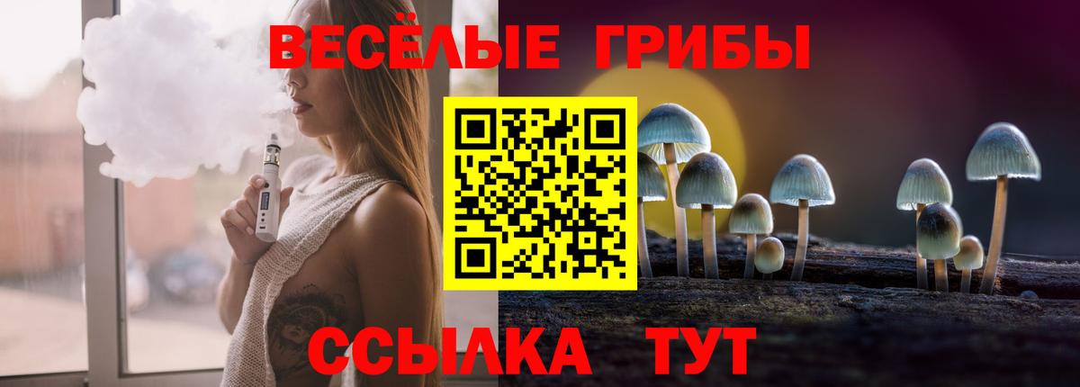 Псилоцибиновые грибы мухоморы  Вход с VPN  Азнакаево 